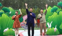 肥西女婿爆料视频最新消息