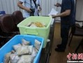 泉州诈骗爆料案件最新,揭秘连环骗局，受害者血本无归！