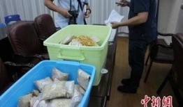 泉州诈骗爆料案件最新,揭秘连环骗局，受害者血本无归！