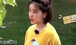 娱乐圈找谁爆料的明星,揭秘幕后推手，揭秘那些被爆料的明星