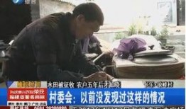 王守贺村民爆料了吗视频,真相究竟如何？