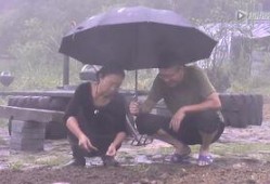 瞒骗游戏在线观看,揭秘虚拟世界的真实欺骗