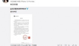 张颖颖微博爆料视频大全,揭秘幕后真相