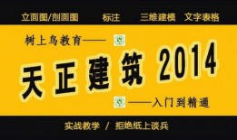 热点爆料摆摊视频教程