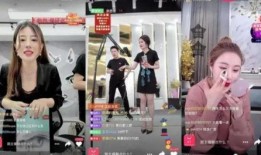 涵艺爆料冰岛直播视频,一场视觉与文化的盛宴