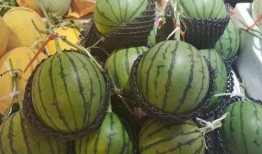 网红吃瓜送什么礼物好,这份礼物让你成为焦点！