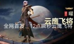 爆料云鹰飞将视频,震撼视频背后的传奇故事