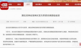 湖北新闻网爆料网,揭秘背后真相，聚焦社会热点