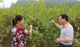 竹山农香最新爆料,带你走进神秘农产品世界