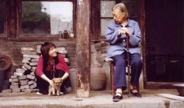 我的父亲母亲在线观看,见证家的温暖瞬间