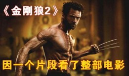 金刚狼二电影在线观看,逆转未来——穿越时空的复仇之旅