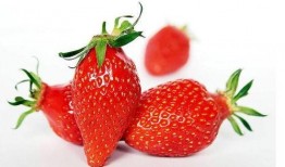 草莓热点爆料怎么做的视频,轻松上手，打造吸睛短视频