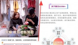 生活观察爆料怎么做视频,轻松制作视频教程