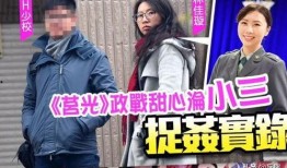 爆料台湾媒体人被抓视频,真相与影响深度解析