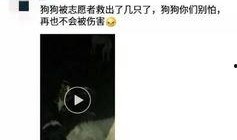 徐州最新爆料视频