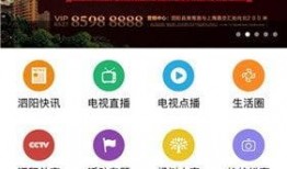 泗阳最新爆料新闻视频,视频揭露惊人真相，引网友热议！