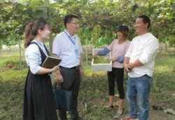 泗阳最新爆料新闻视频,视频揭露惊人真相，引网友热议！