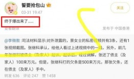 风景哥再次爆料视频播放,视频播放背后的惊人真相揭秘