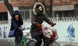 冷区2017在线观看,冷区在线观看，揭秘神秘事件