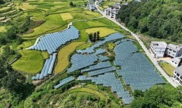 平塘县塘边镇爆料视频,揭秘当地民生热点事件