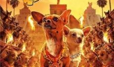 比弗利拜金狗在线观看,奢华都市的疯狂冒险