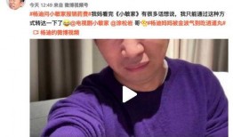 杨迪爆料妈妈语音播放视频,揭秘家庭温馨瞬间