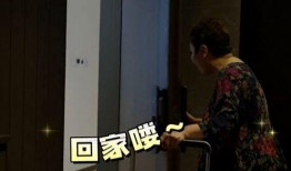 网红爆料向华强视频播放,揭秘幕后真相