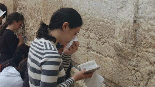 娱乐吃瓜君团团